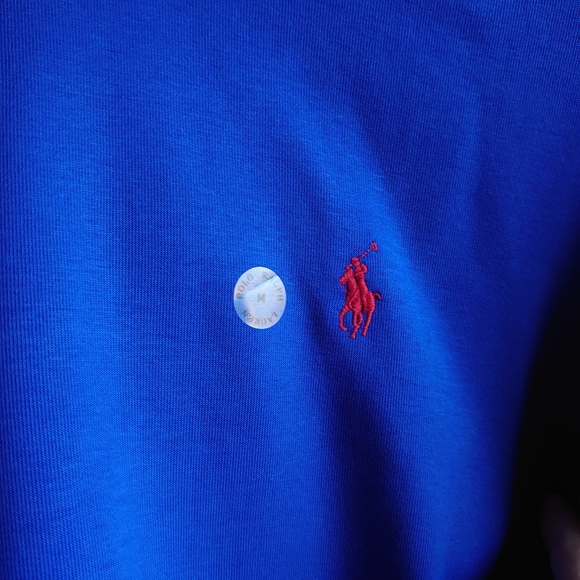 POLO RALPH LAUREN Men's Logo Double-Knit Hoodie - Picture 7 of 8